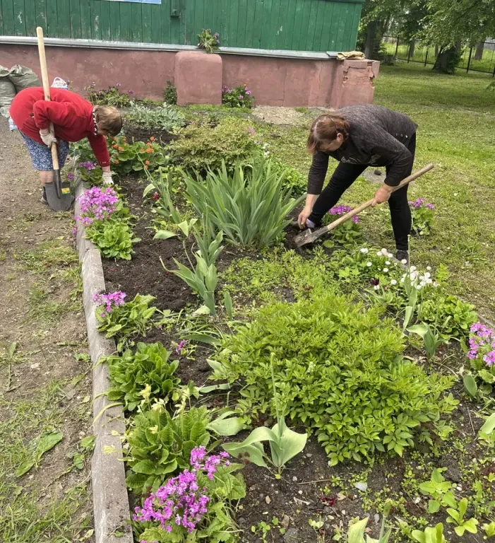 В ОБУСО «Приволжский ЦСО» прошла акция по озеленению, которая включала высадку рассады ...