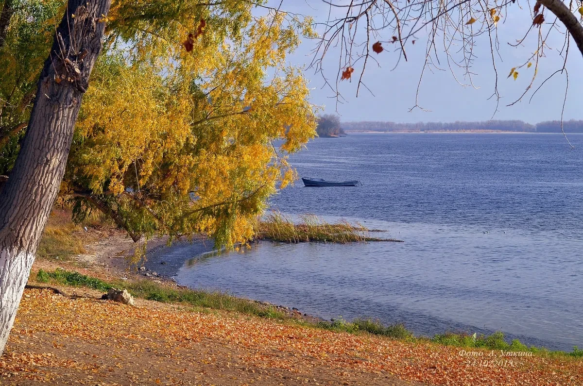 Осенние зарисовки 🍂.