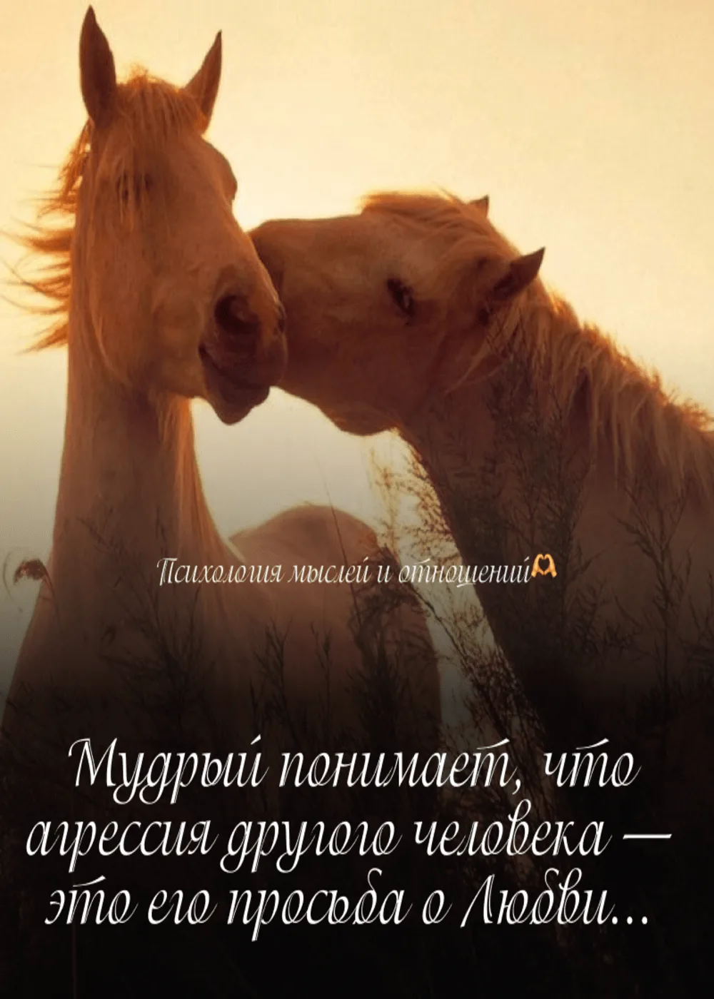 🫶 Психология мыслей и отношений
