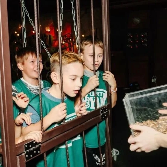 Организация праздников в «Джуманджи» во Владивостоке!
