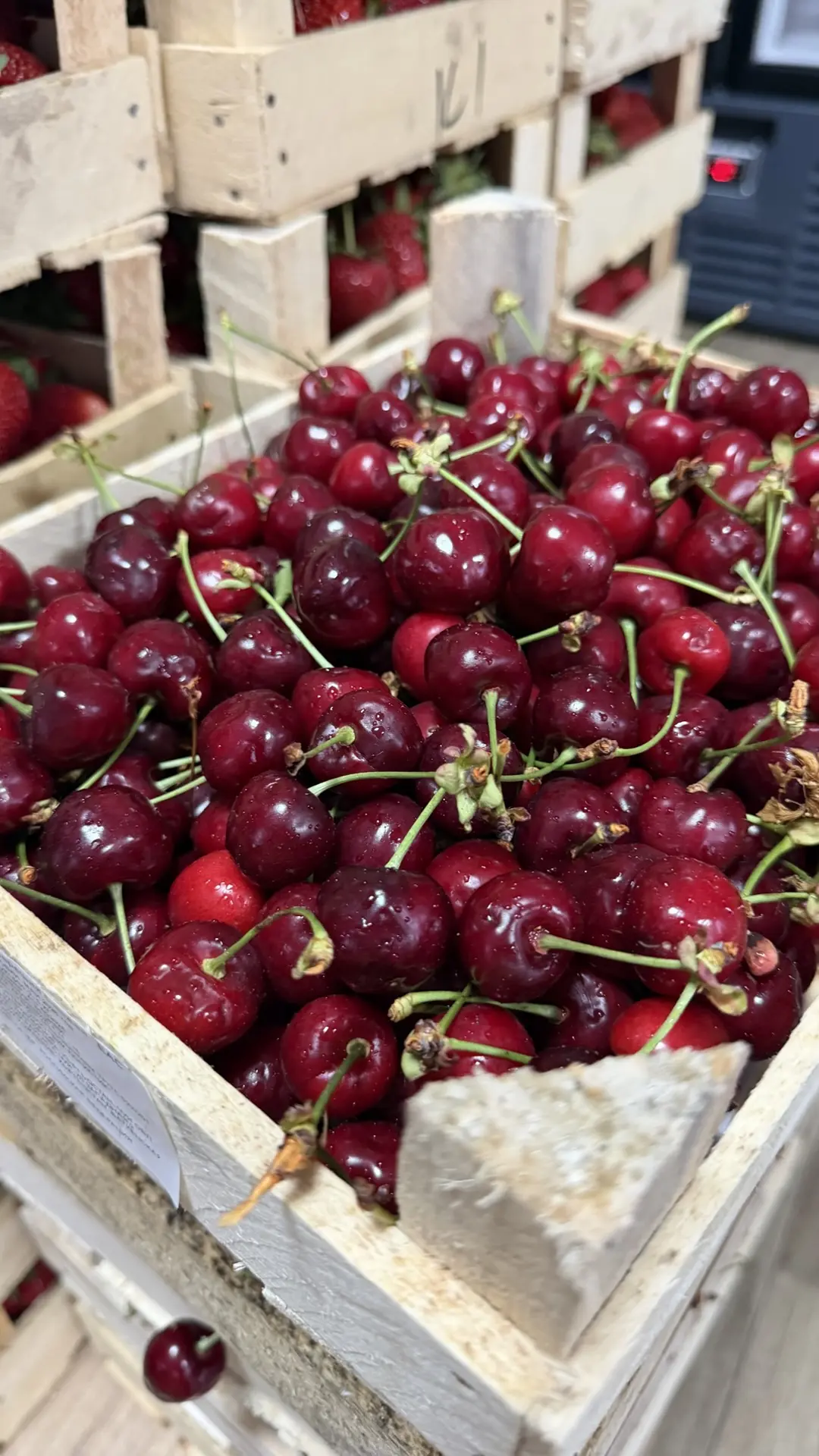 Клубника из Киргизии 🍓 Ягода сортовая крупная, ароматная, сочная, сладкая. Выращена без химии  🚚 Маш