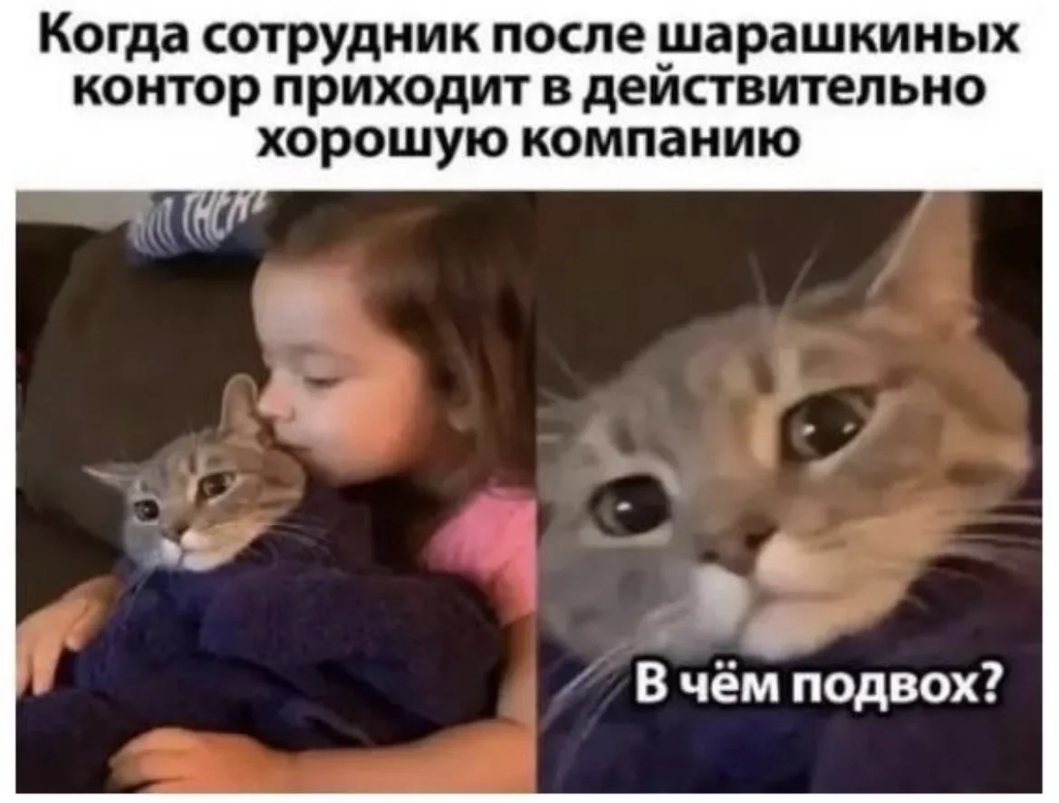 Когда работа и коллектив действительно нравятся 🥰