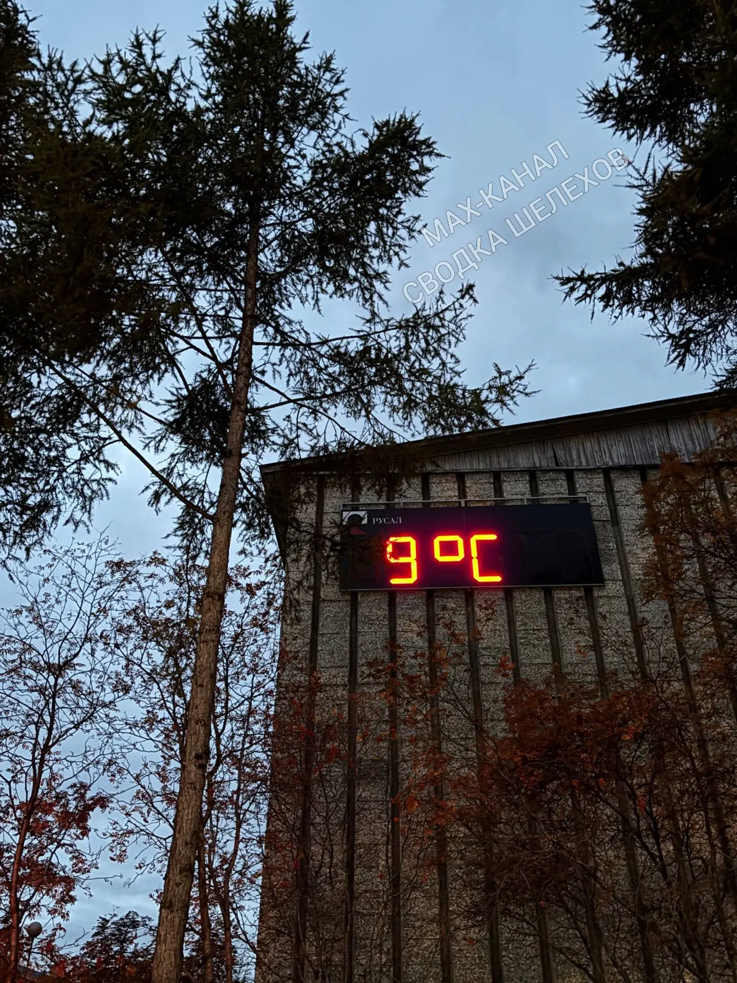 +9° и осень окончательно вступила в свои права 🍁