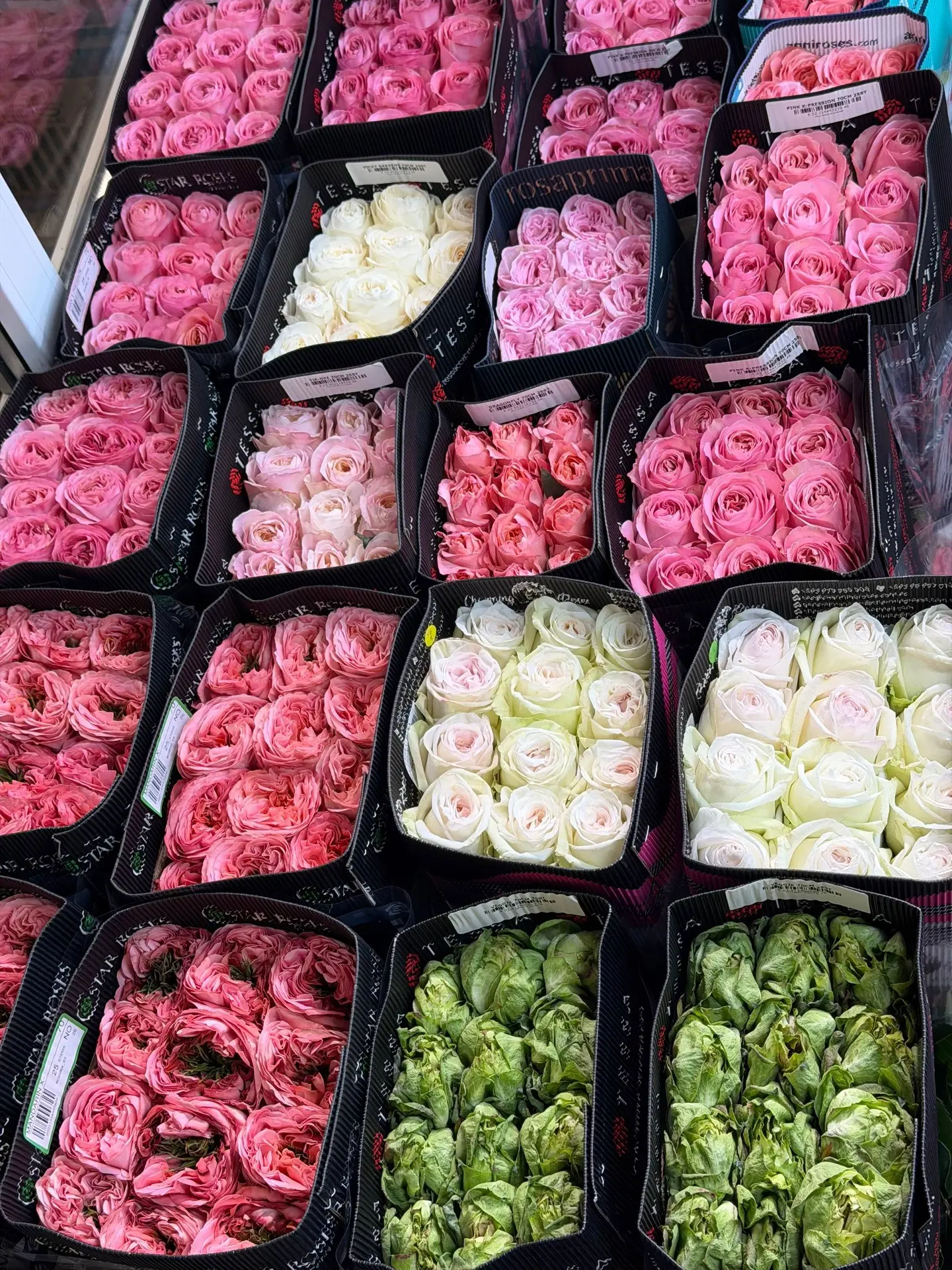 Поступила Эквадорская Роза ✨

Кустовая и одноголовая ✅

По всем вопросам

📞 +7 915 215 33 33   - ОП
