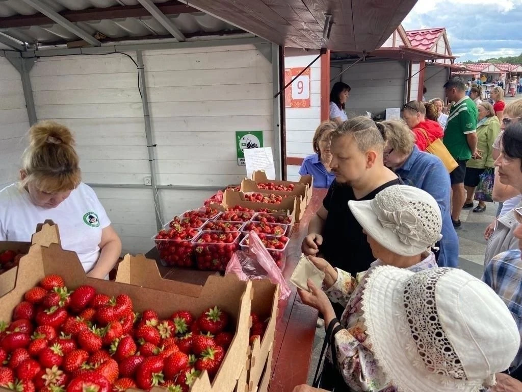 Изображение 1 к публикации «Вкратце | Петрозаводск, Карелия»