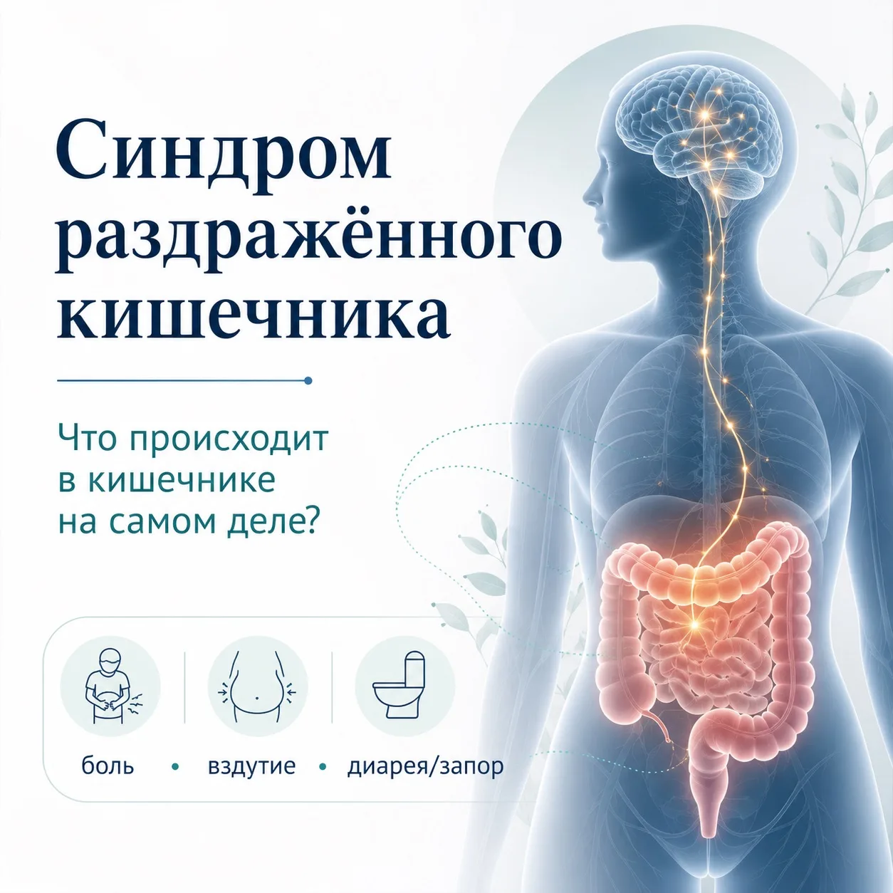 При СРК нарушается регуляция моторики, чувствительности кишечника, секреции и местного иммунного отв