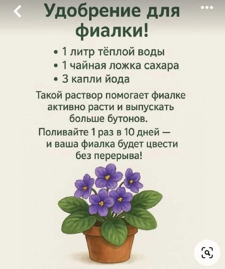 Удобрение для фиалки 💜