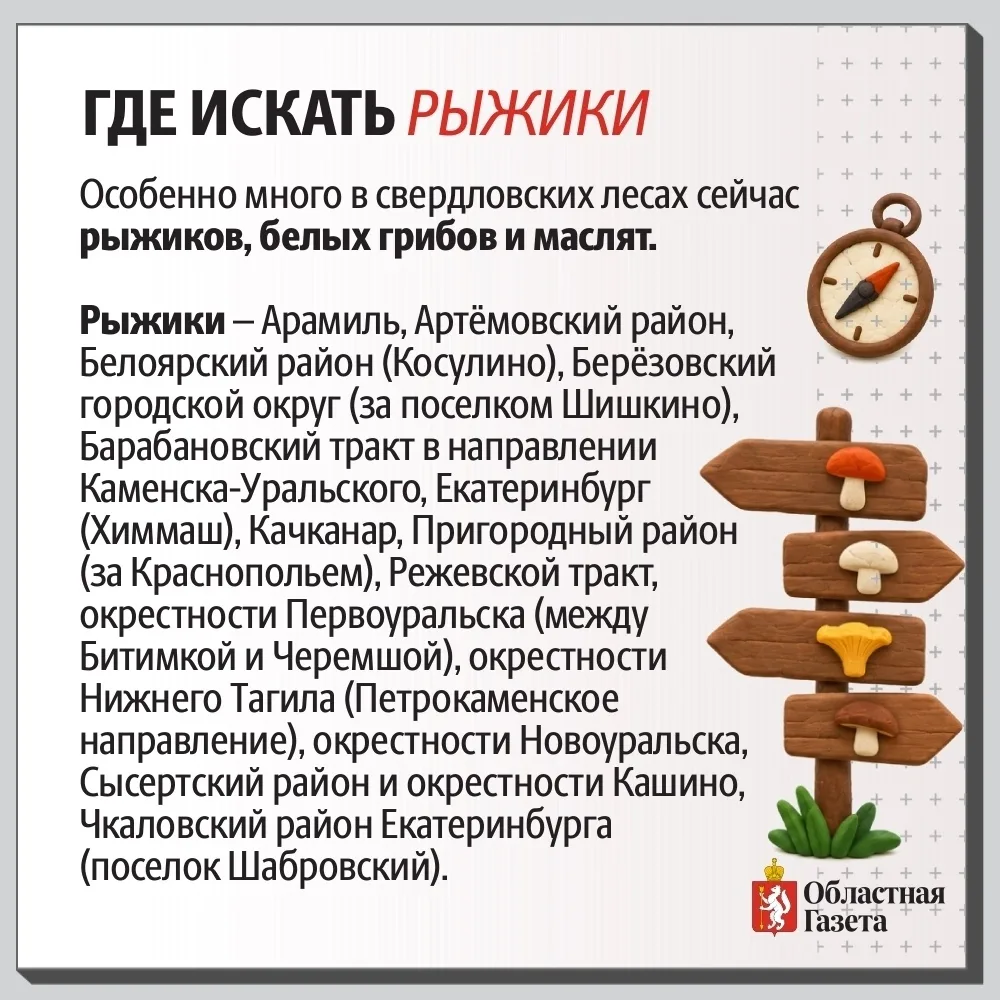 Полезный пост перед теплыми выходными🌟