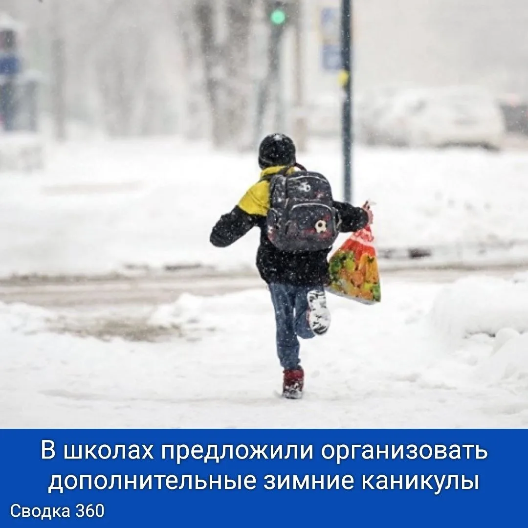 В школах предложили организовать дополнительные зимние каникулы.