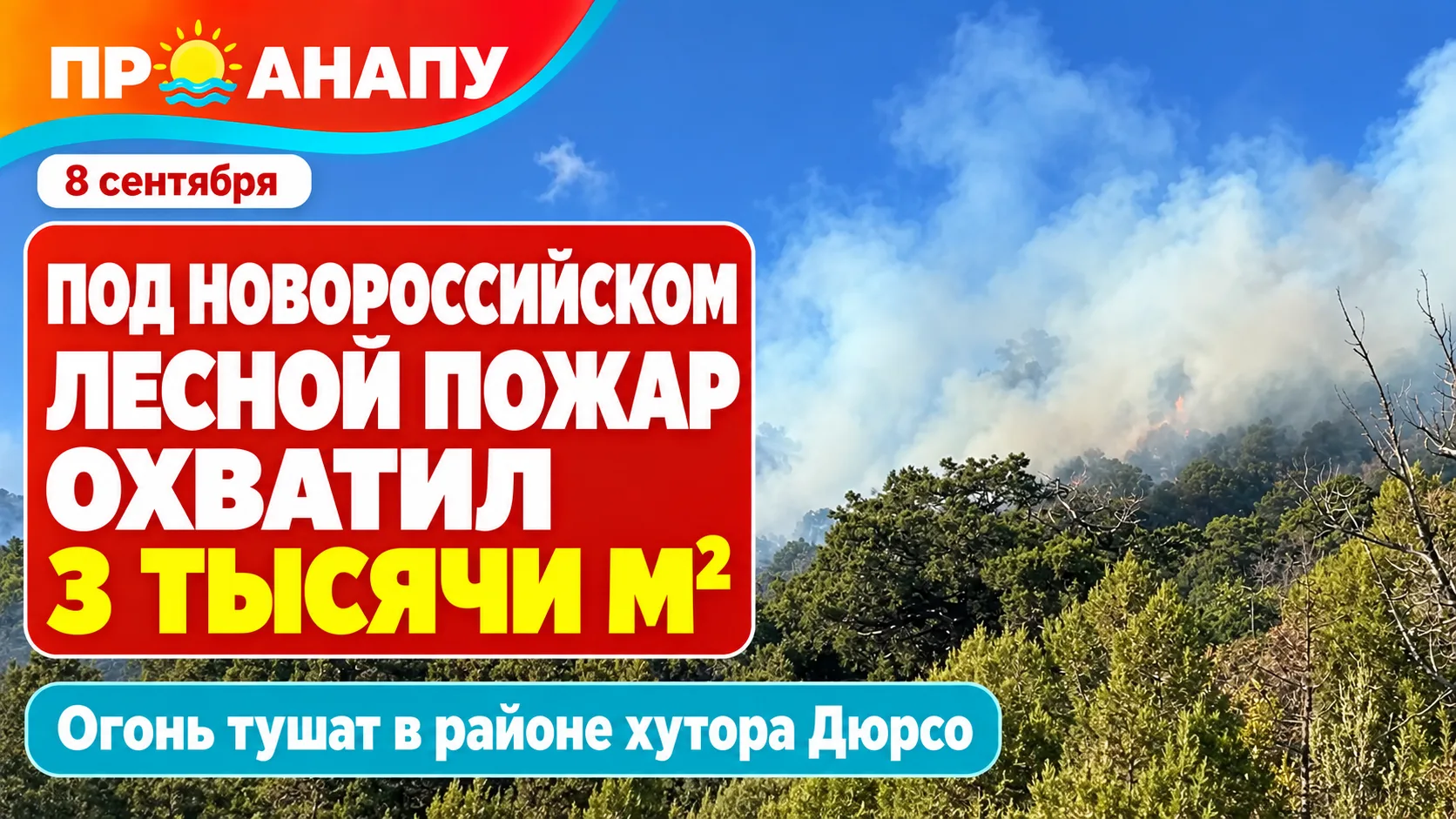 Под Новороссийском лесной пожар охватил около 3 тысяч квадратных метров