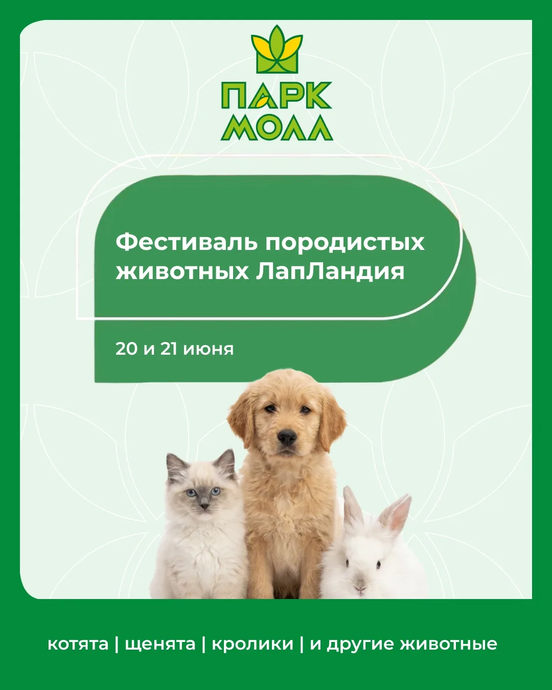 🐾 ЛапЛандия снова возвращается в Парк Молл!

20 и 21 июня приглашаем всех любителей животных на фес