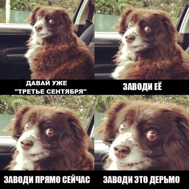 Кидайте мемы в комменты👇🏻