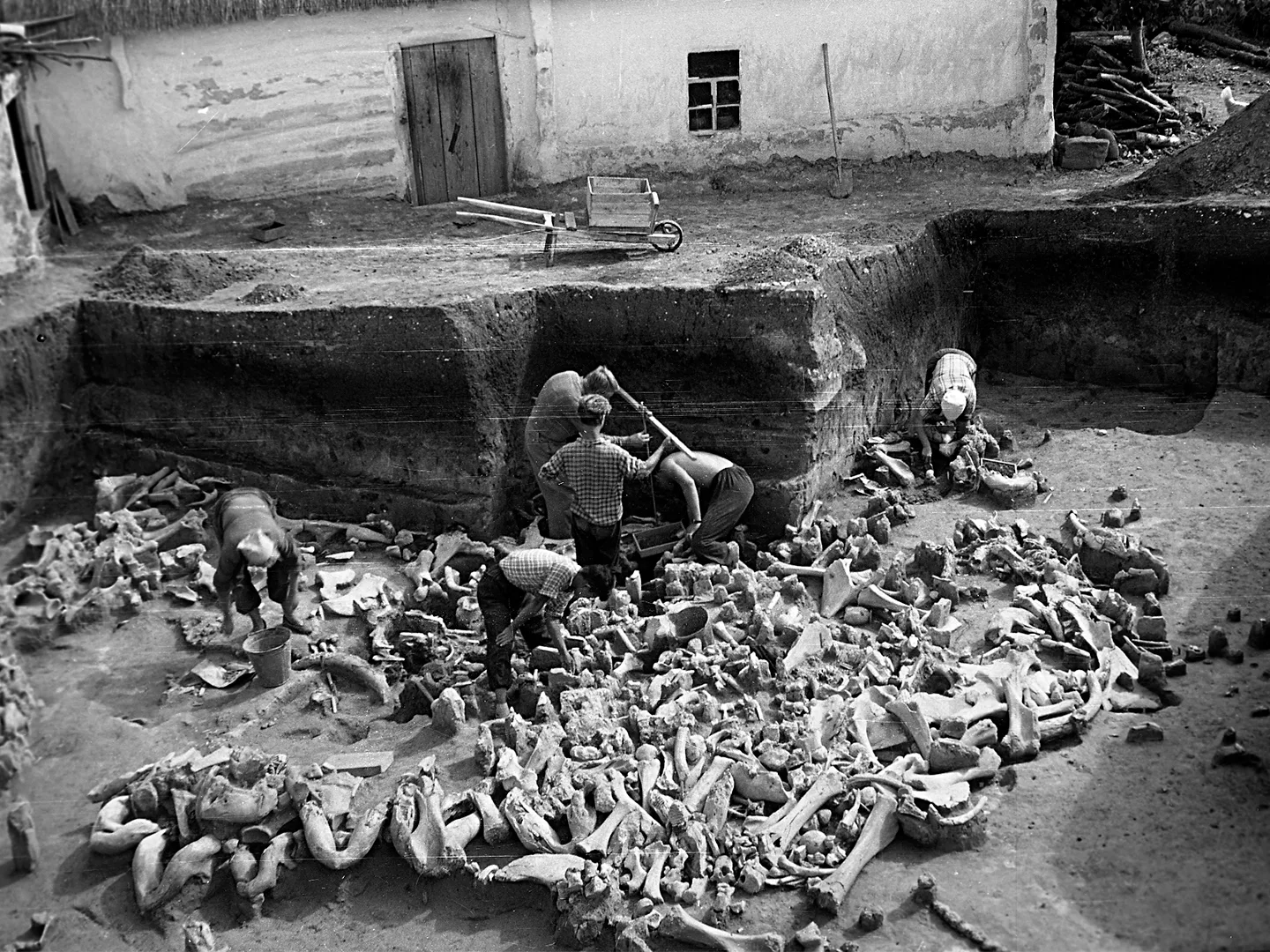 Предлагаем заглянуть в музейный фотоархив 📸