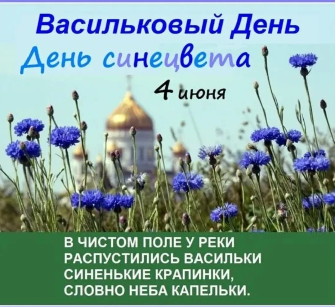 4 июня ребята группы "Бусинки" отметили "Васильковый день"-праздник полевых цветов. Вас...
