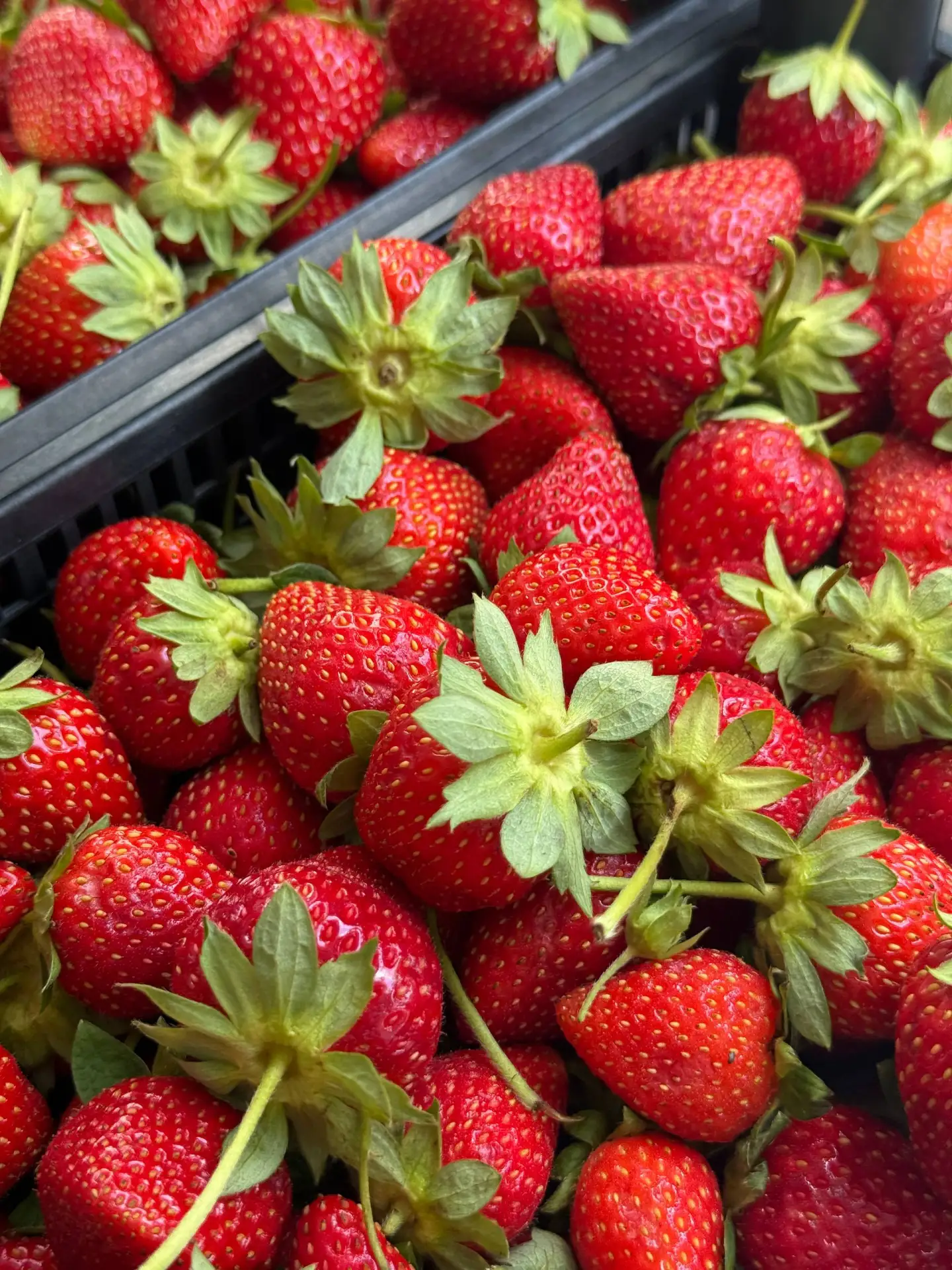 Свежая поставка клубники! 🍓 

Только что привезли ягоды — крупные, сочные и очень сладкие. 

Идеаль