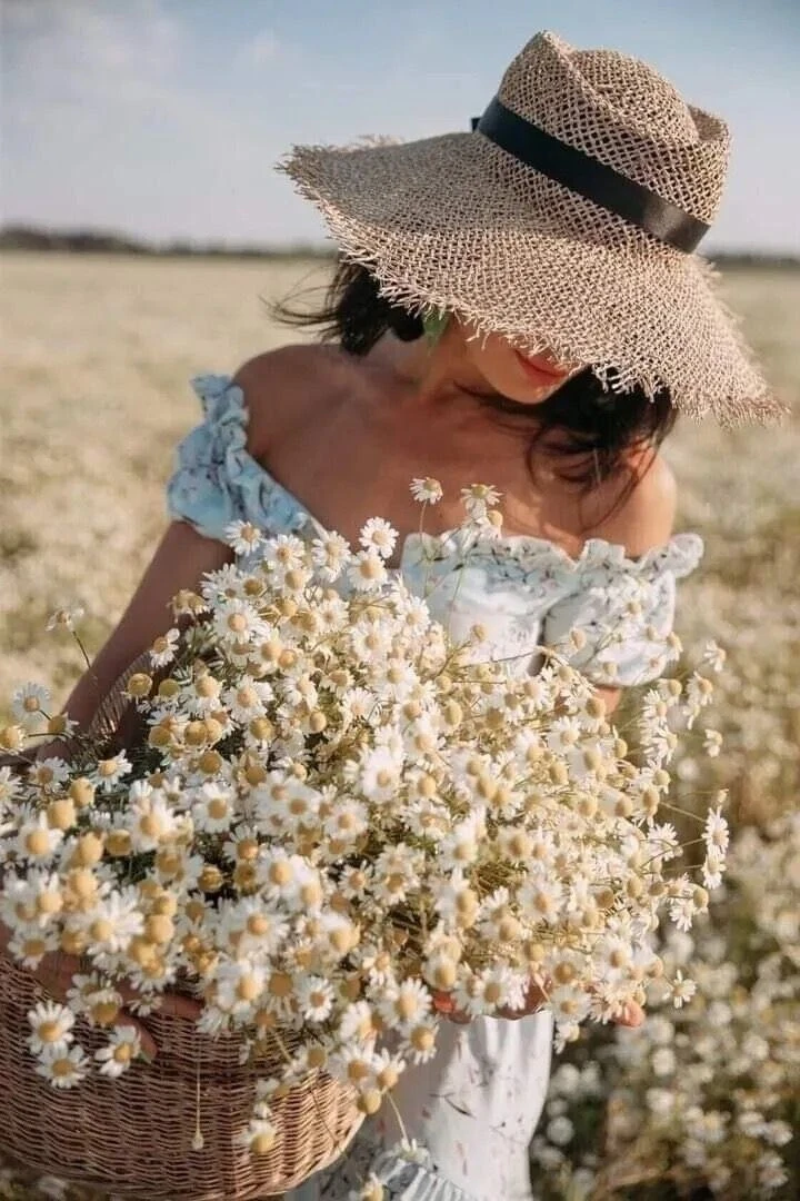 ✨✨✨