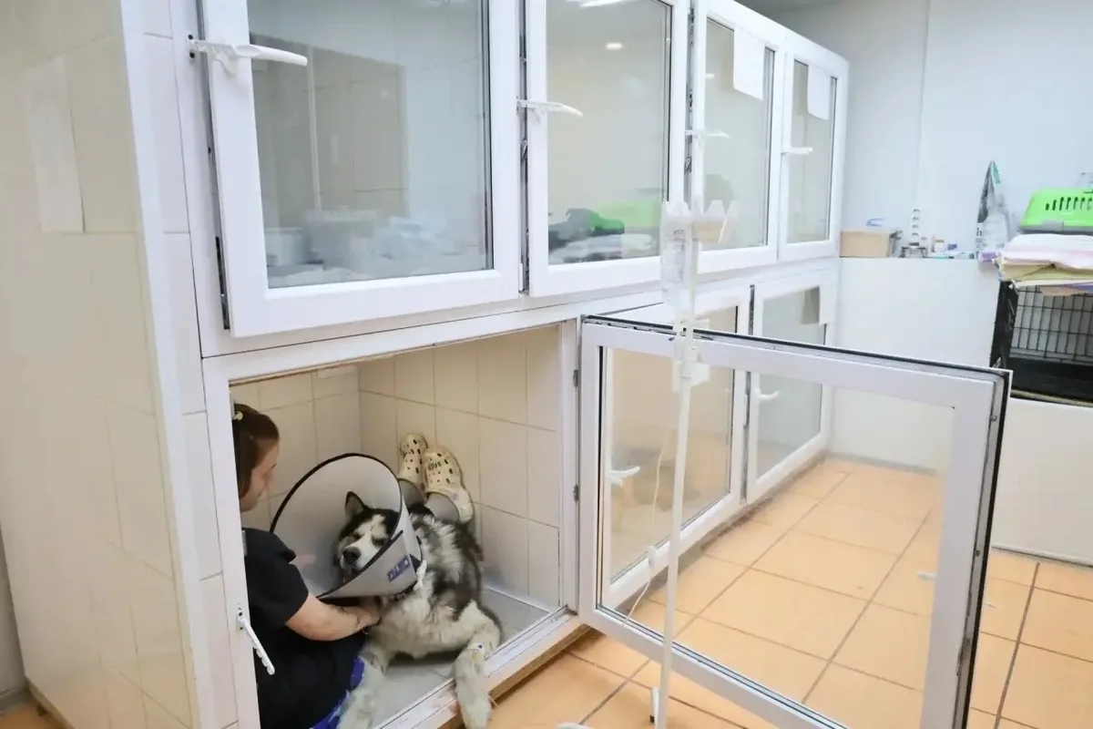 🆘 Мы кричали, как могли: ПОМОГИТЕ! Но нас не услышали… 💔  НАМ НЕЧЕМ КОРМИТЬ 500 ИНВАЛИДОВ! Объявляем