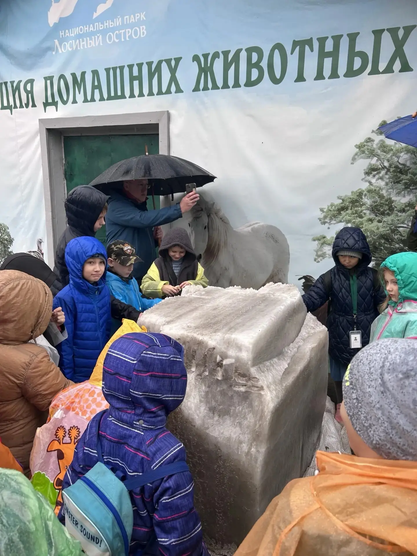 Большие приключения 2 «А»: как дети гладили лосей и становились следопытами!