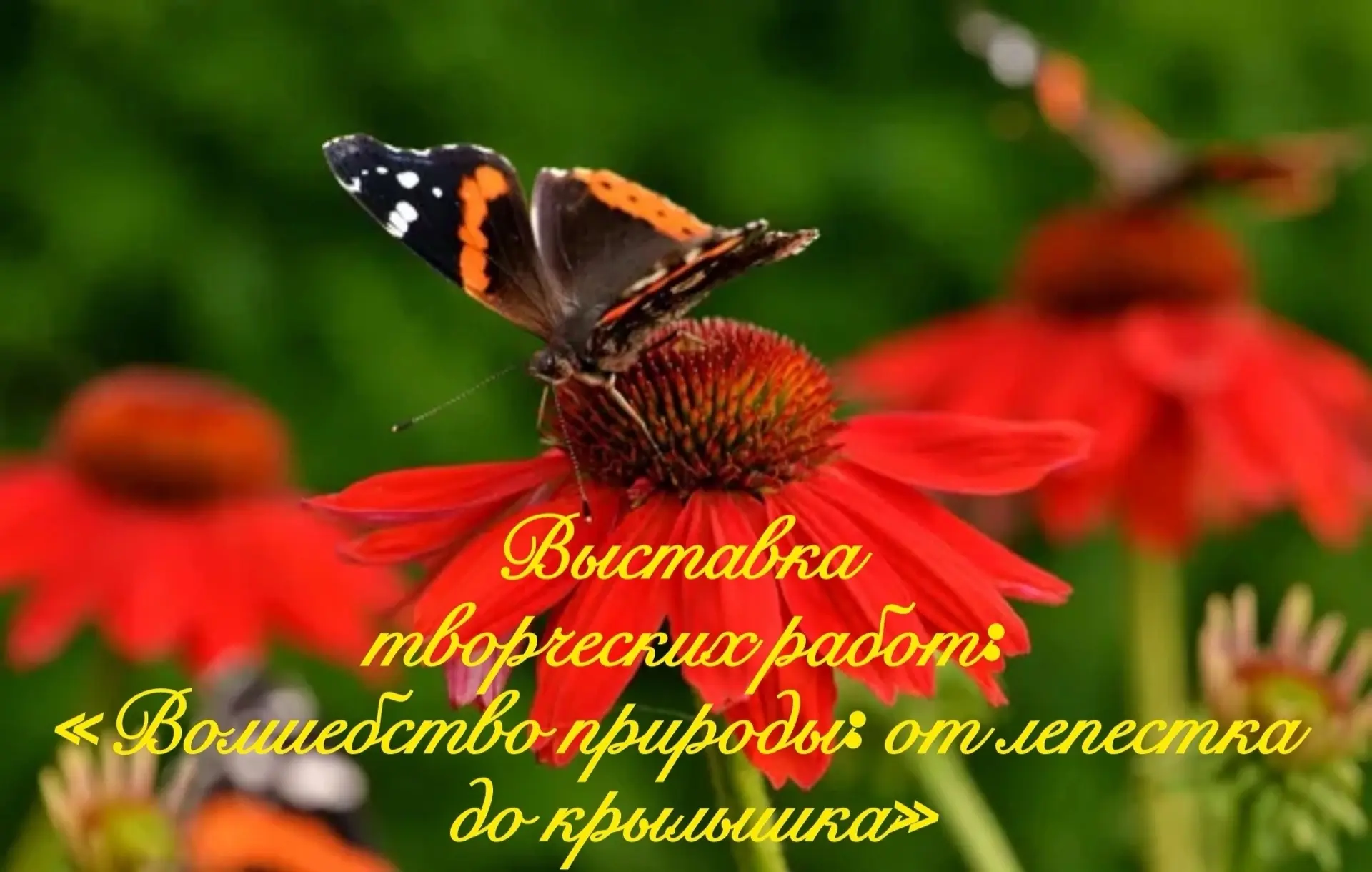 🌼✨ Внимание, малыши и родители! ✨🌼