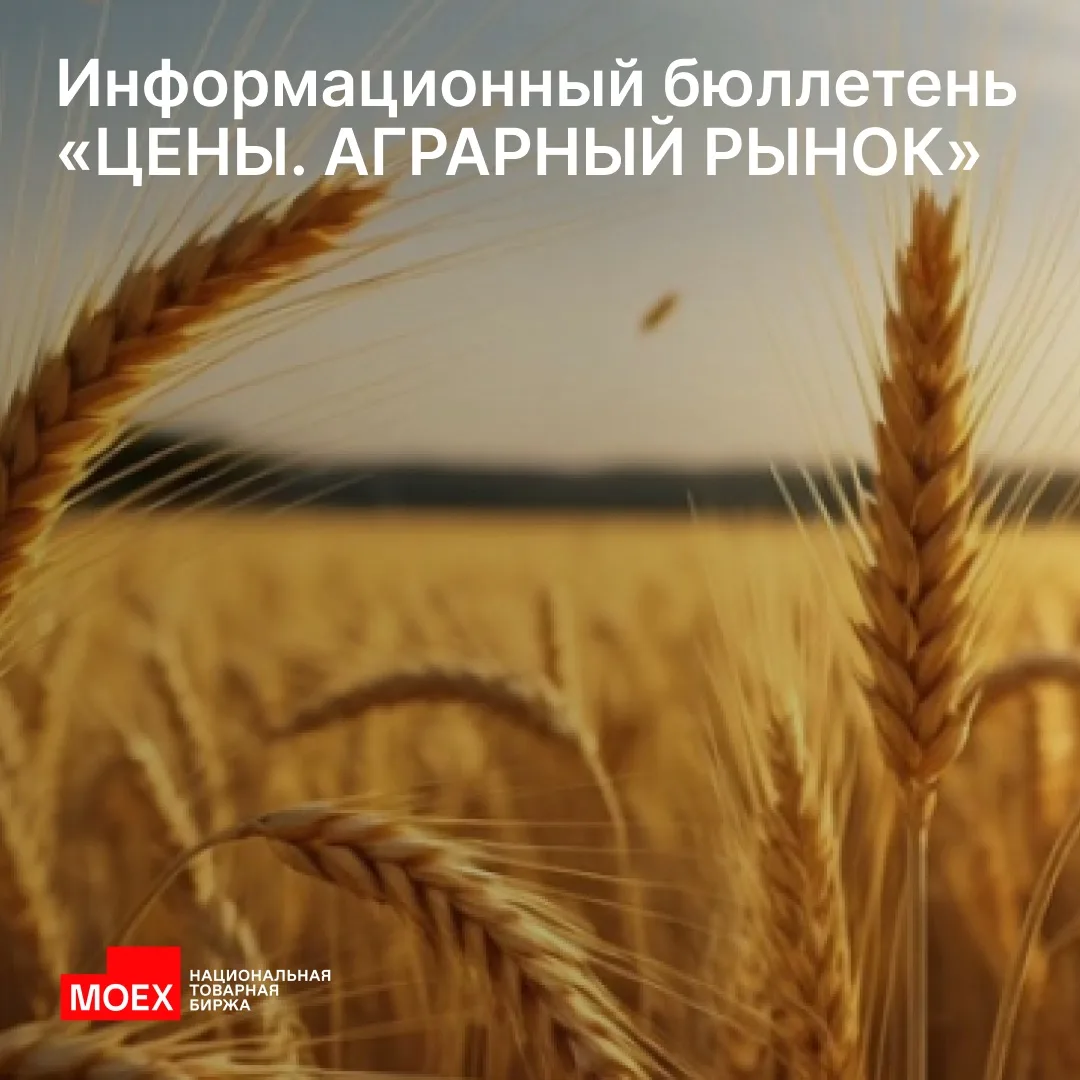 Мы расширили наш бюллетень: масштабируйте бизнес с данными о реальных сделках 

Информация на аграрн