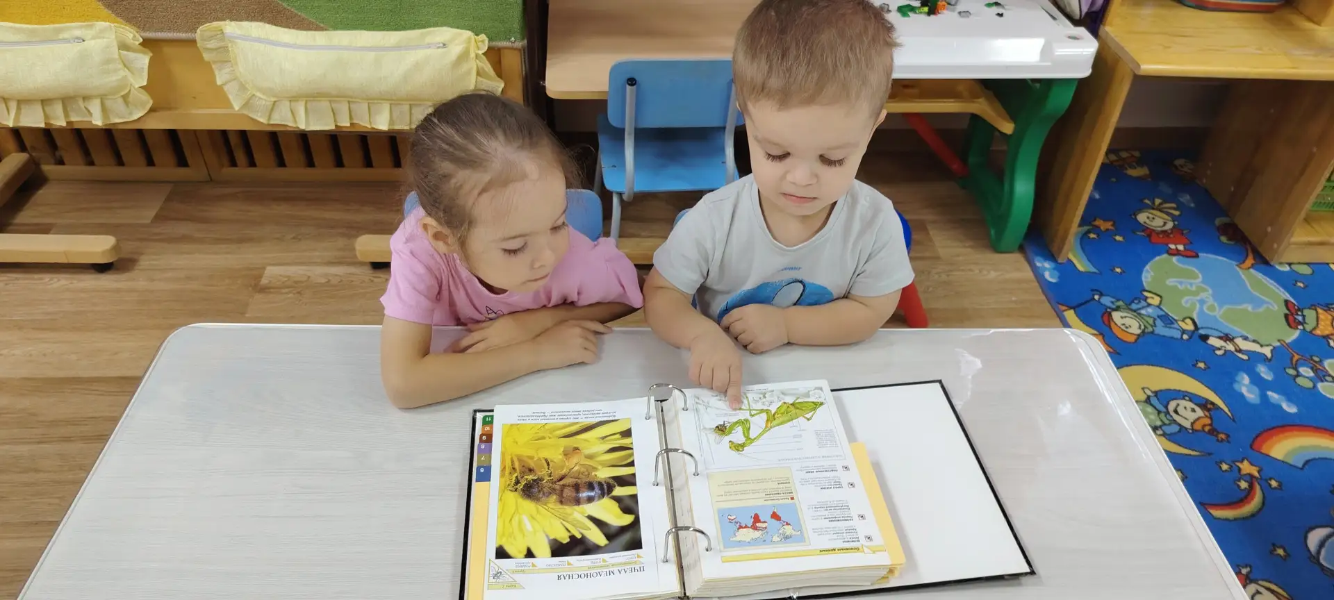 Лес — это интересно, но важно быть осторожными!