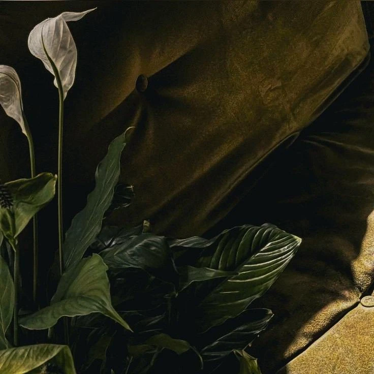 — Вчера я почувствовала, что ты полюбил меня.  — Как?  — Ты прикасался иначе, чем обычно.  — Нет. Я 