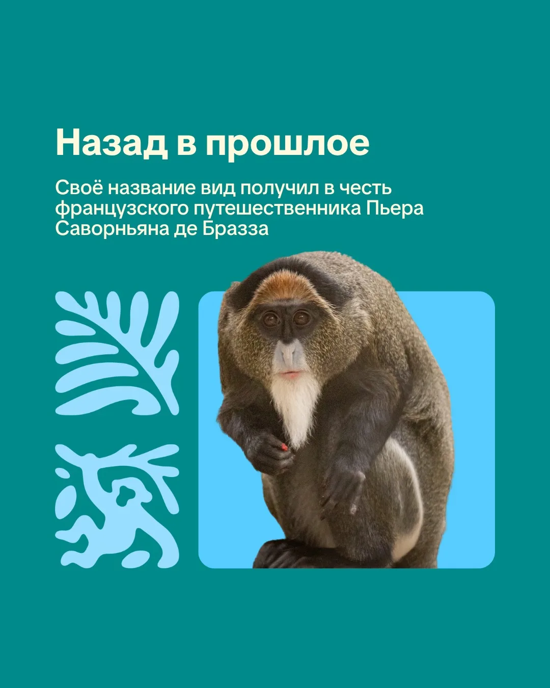 Новосибирский зоопарк. День в истории.