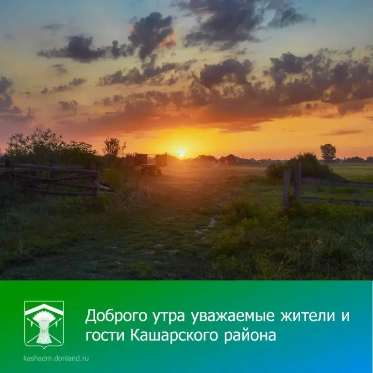 Выходной!