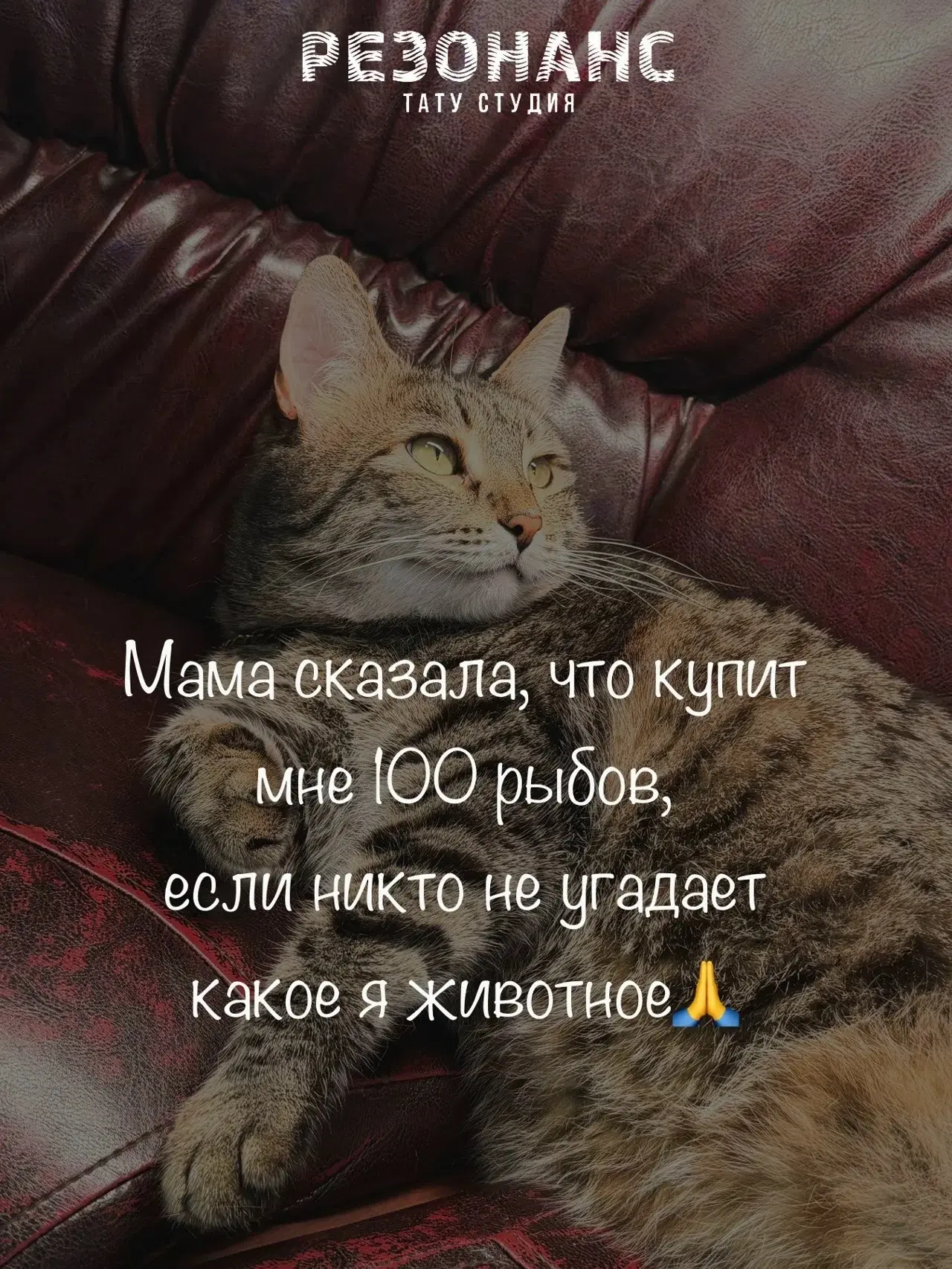 Играем 🤩