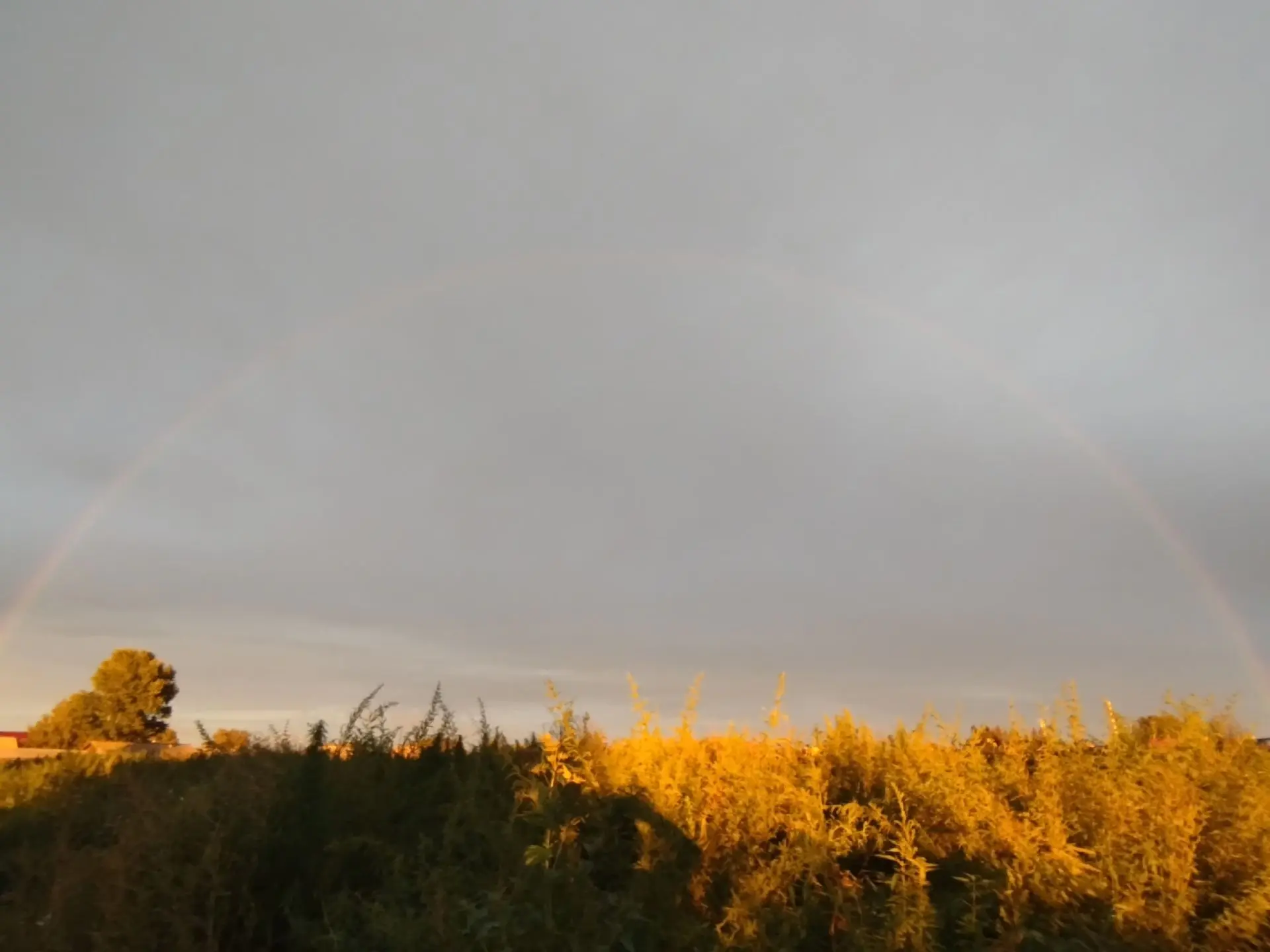 Лето от Натальи Смородовой ☁️