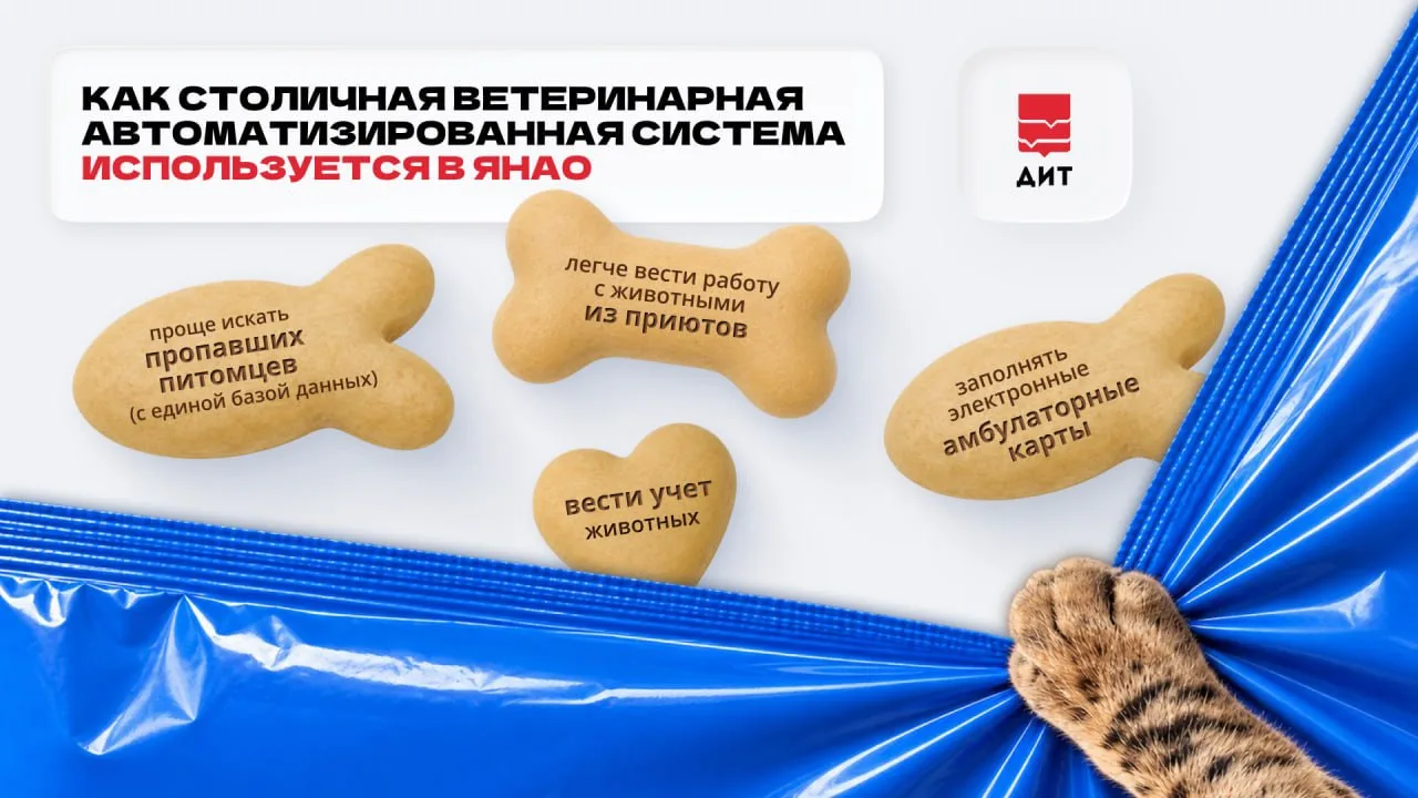 💻 Москва делится своими цифровыми наработками с ветеринарами из ЯНАО. На базе столично...