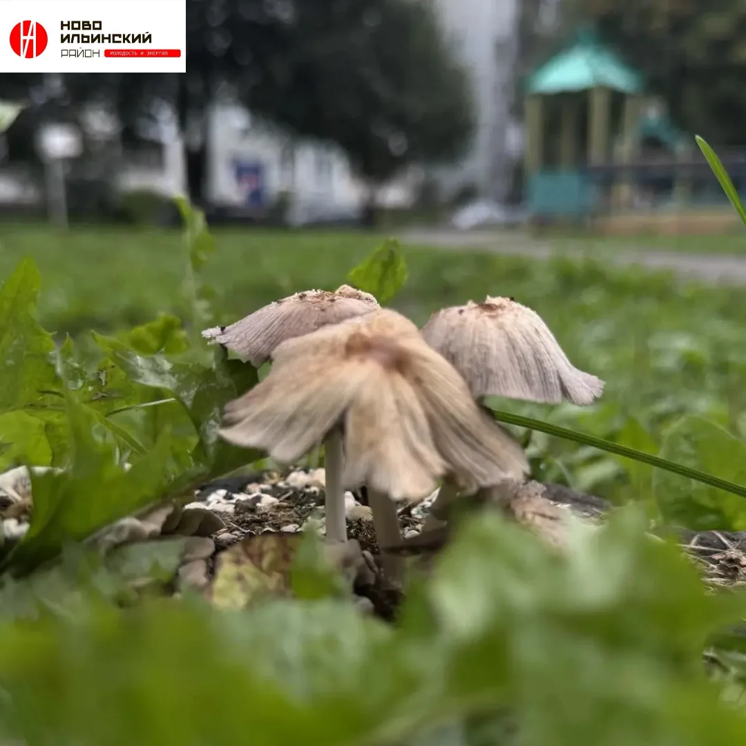 ☀️ Август переворачивает последнюю страницу.