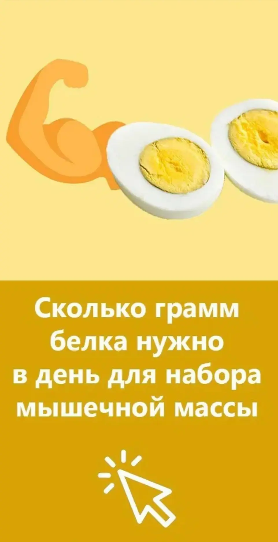 Белок и его роль для мышц💪