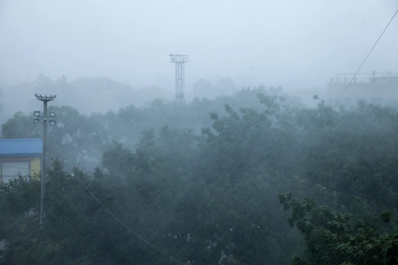 В Приамурье снова ожидаются ливни и сильный ветер 🥲☔️