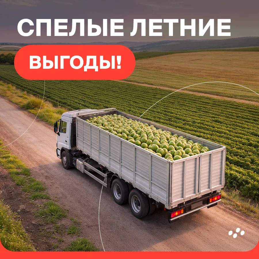 Раз в месяц мы собираем наши лучшие предложения по лизингу: спецтехника, коммерческий транспорт, лег