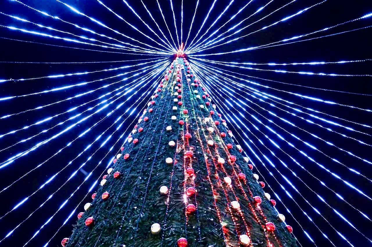 🎄Каждый год ставим почти 100 новогодних елок по всему городу. От школ и скверов до главной на площад
