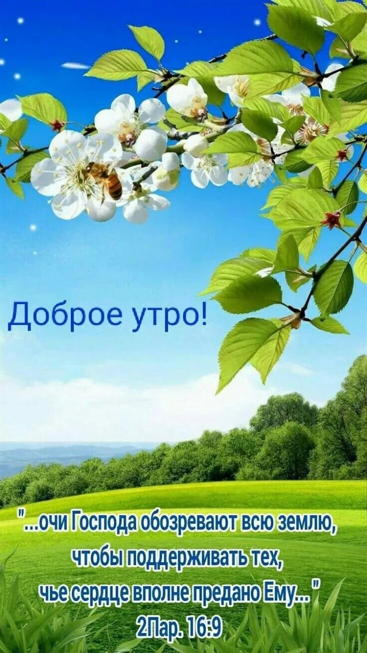 ❤️❤️❤️❤️Открытки❤️❤️❤️❤️
Теперь и в MAX