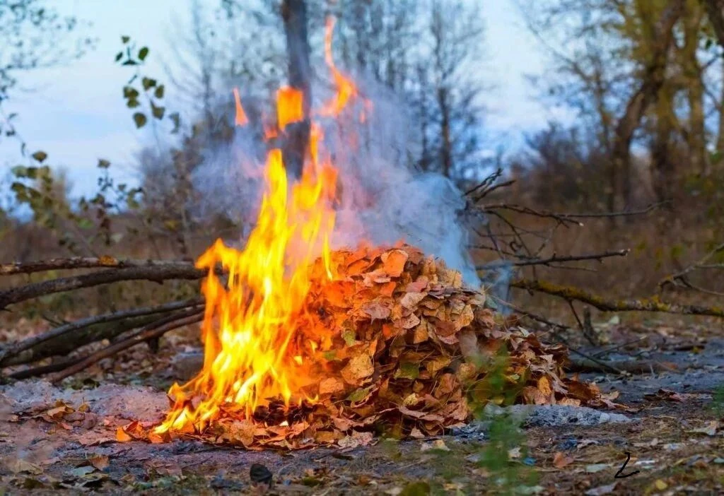 Пожарная безопасность в осенний период.