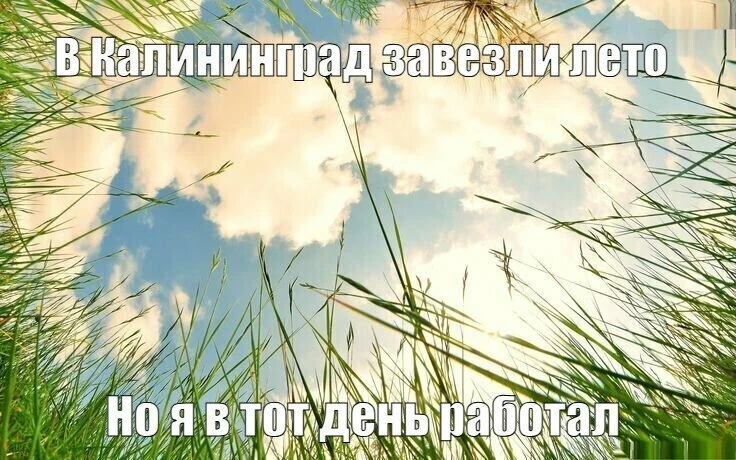 Жарко в Калининграде будет минимум до середины следующей недели

В Калининградской области тепло и д