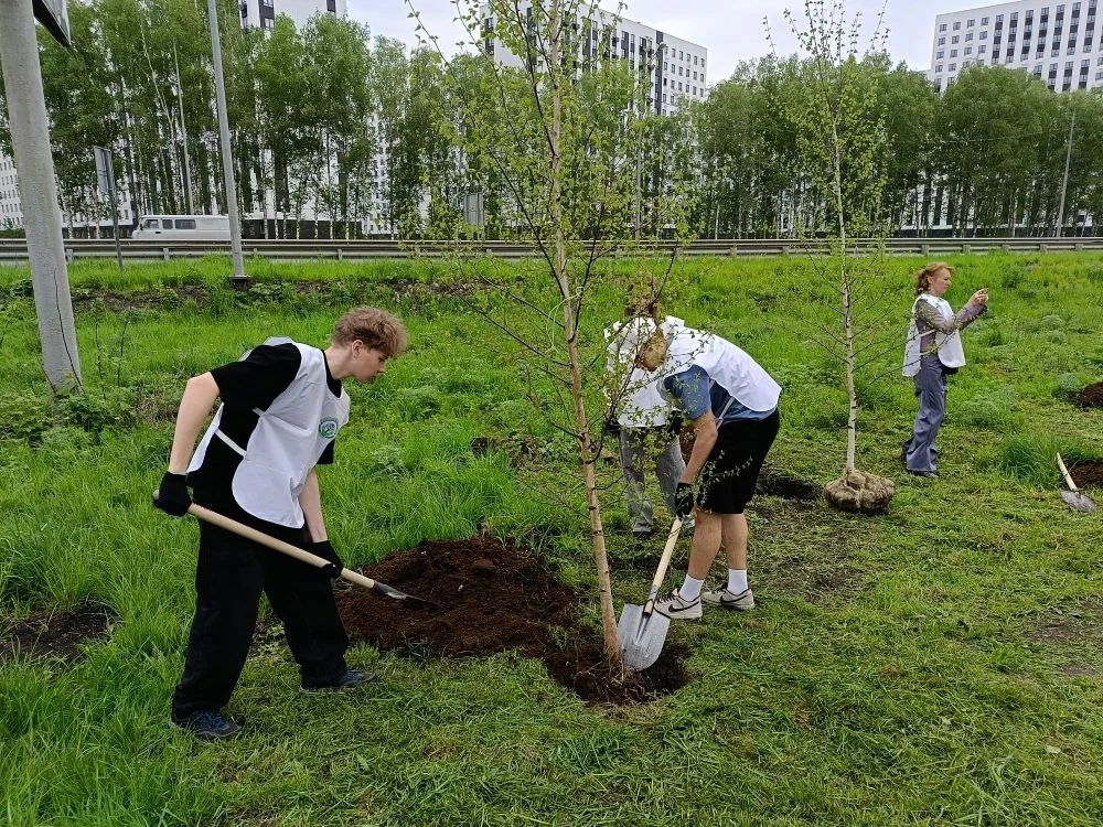 Ребята 11Б класса нашей школы доказали, что забота об экологии — это дело не только взрослых, но и т