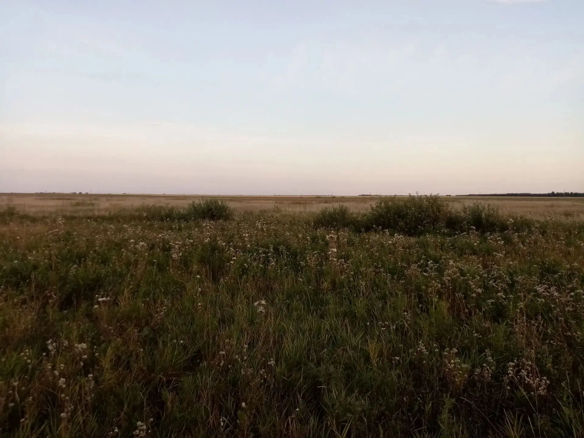 Проверка документов 05.09.2026 Половинское ОДОУ