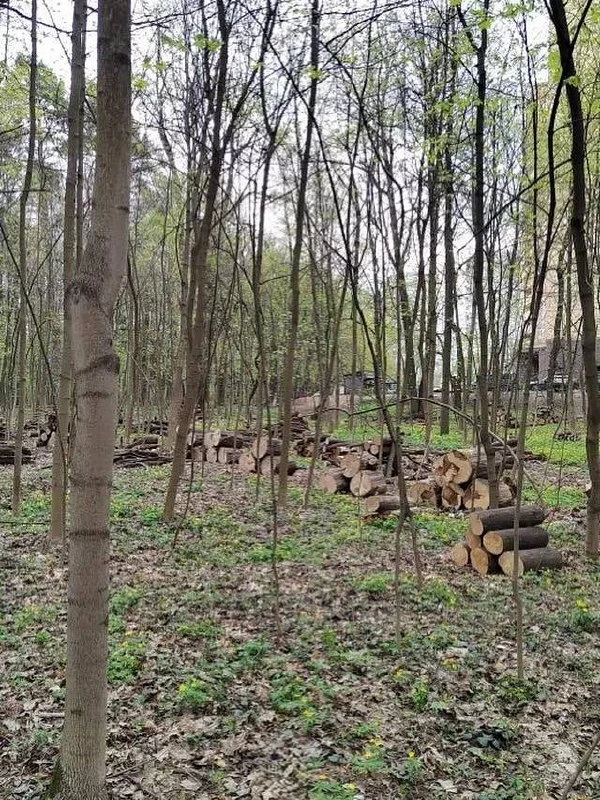 🔥В городском округе Балашиха ведутся работы по уборке неликвидной древесины

🌲🌲На территории Салт