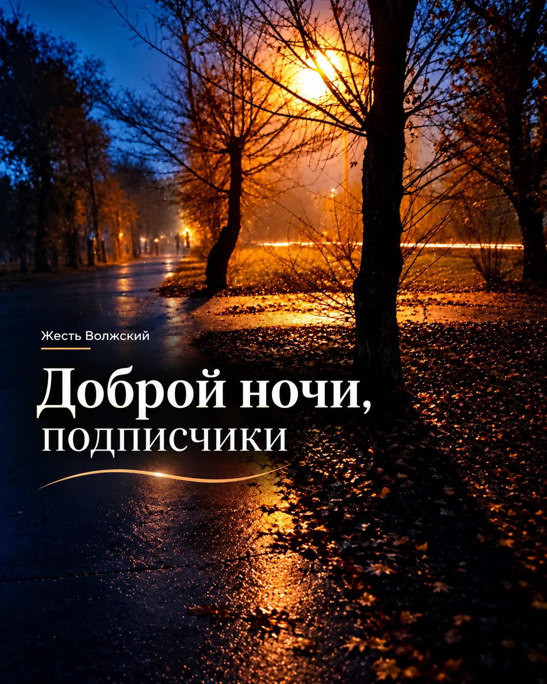 🌙 Доброй ночи, Волжский!