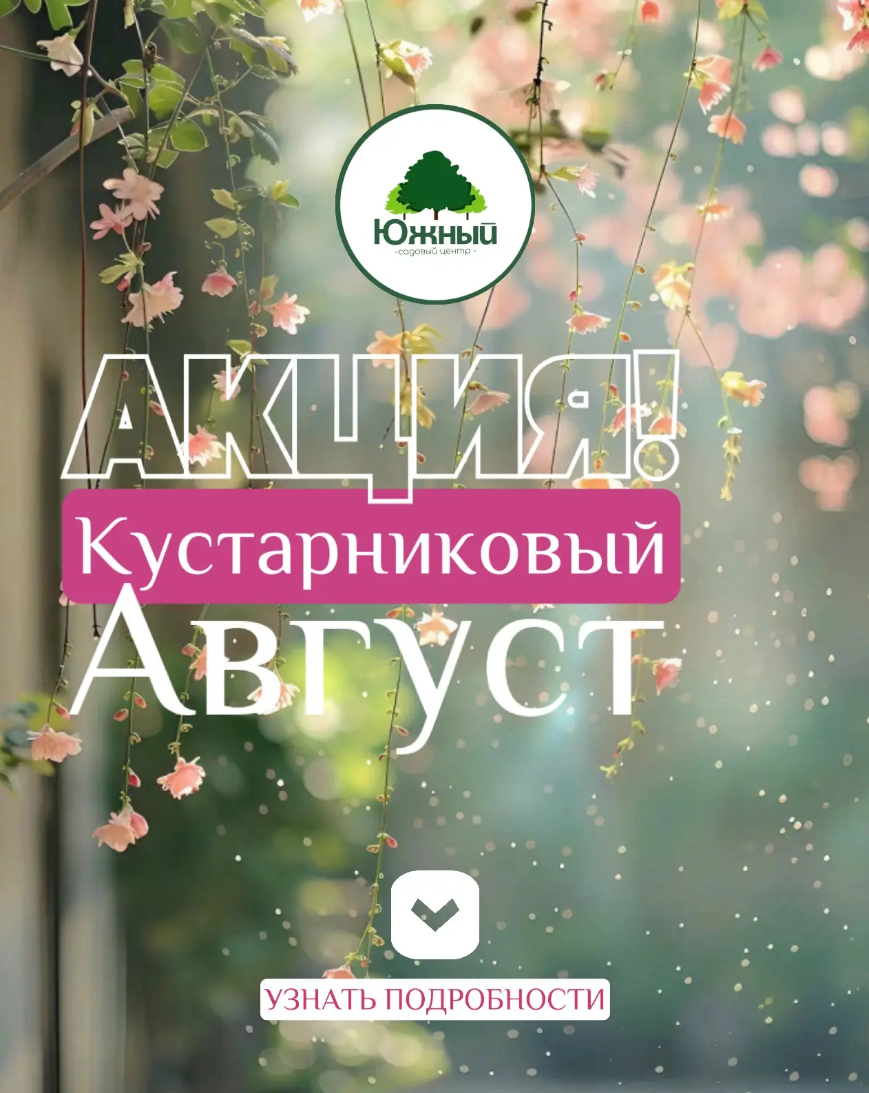 У нас хорошая новость! Запускаем акцию: два кустарника по цене одного.