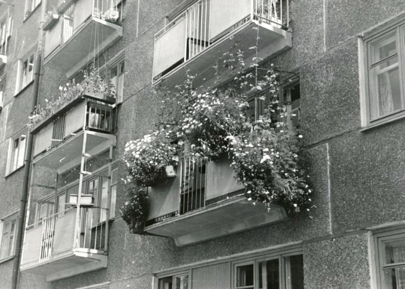 Цветник на балконе по Вологодской улице

Период создания:1968 г.
Воронов Ю. М.
Фотография черно-бела