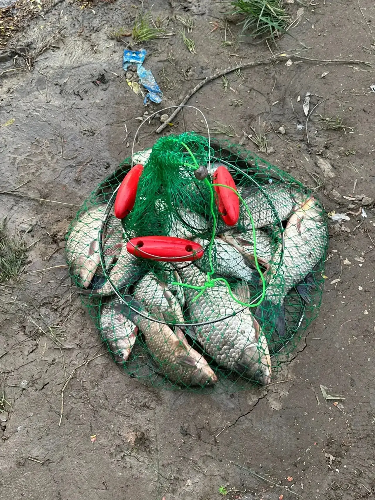 Река  Кубань 🐠