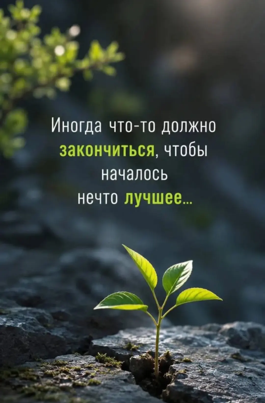 Я сейчас в отпуске, отдыхаю и потихоньку собираю материалы для большого трансформационн...