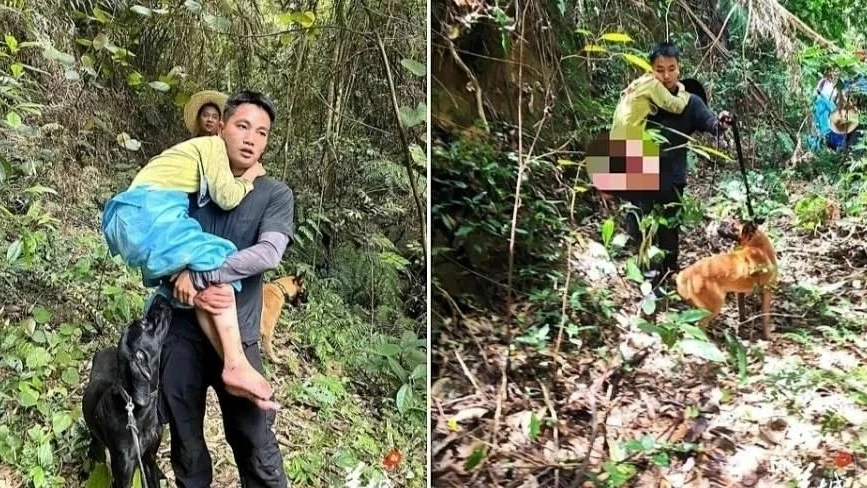 В Китае 11-летний мальчик потерялся в джунглях на 13 дней, и выжил, питаясь диким инжиром

Школьник 