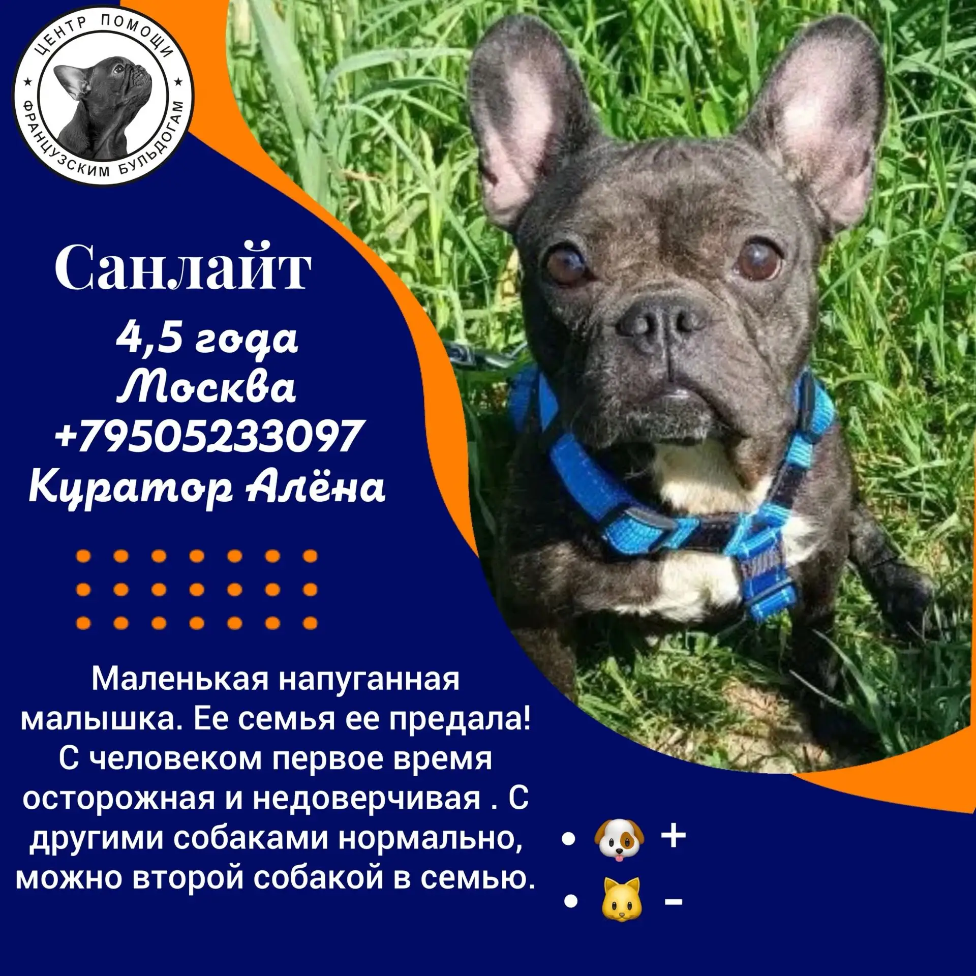 Среди наших подопечных есть те, кто ждет своего человека особенно долго. У каждого из н...