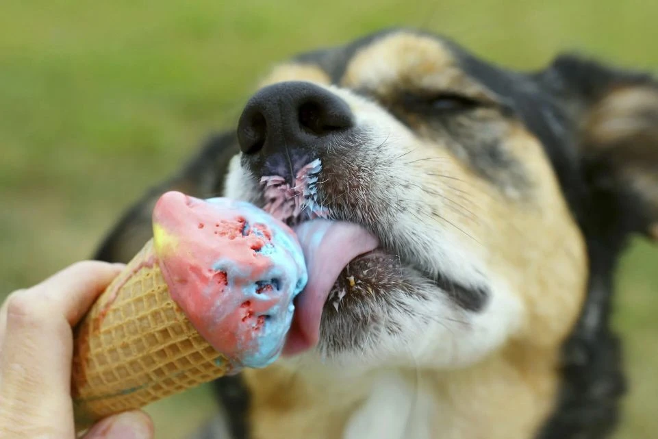 🍦 От 4 и более порций мороженого крупнее 100 грамм в неделю можно получить передозировку